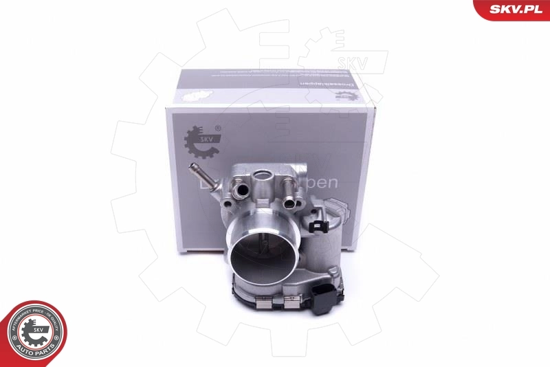 Throttle Body